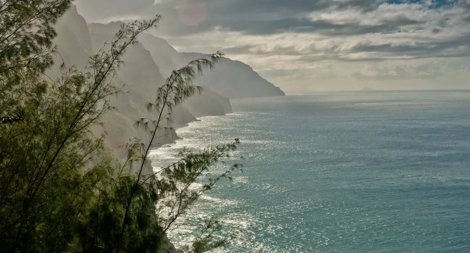Misty North Shore sea cliffs on the Nā Pali facing coast, seen through ironwood branches.